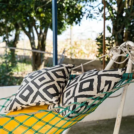 Guestready - A Classic Portuguese-style Holiday home Vale de Ilhavo